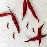 Chili - עגילי חישוק צ’ילי